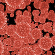 What Is Going On With our World ? Is This The End?