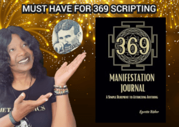 369 manifestation journal website picture