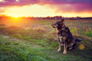 deceased loved one with you