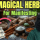 herbs for manifestation
