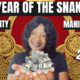 year of the snake 2025
