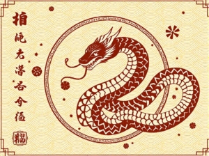 lunar year of the snake