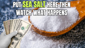 Try This Sea Salt Ritual and See What Happens to Your Money
