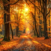 autumn equinox 2026